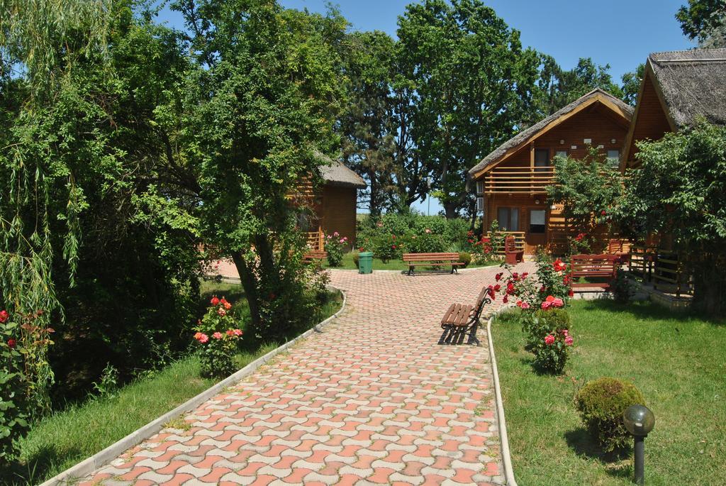 Lacul Racilor Olimp Ngoại thất bức ảnh